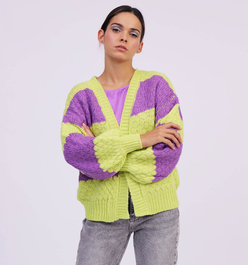 Vila Laxia Groen/Paarse Cardigan voor dames (320311)