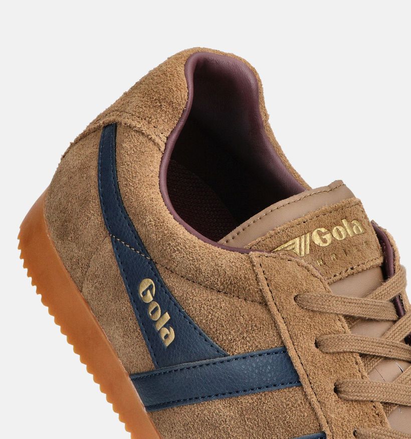 Gola Harrier Baskets en Marron pour hommes (360726) - pour semelles orthopédiques