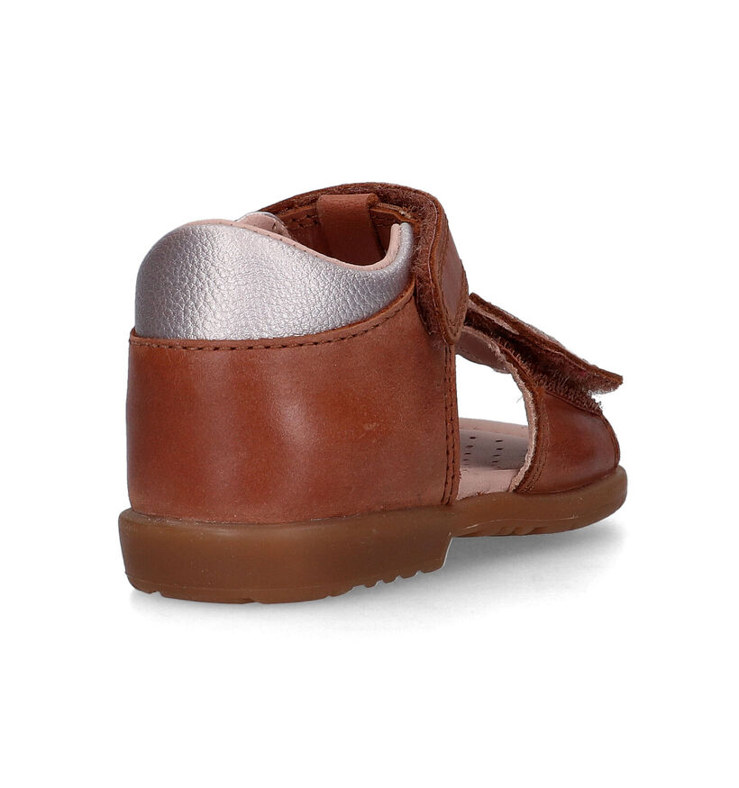 Geox Verred Sandales en Rose pour filles (320635)