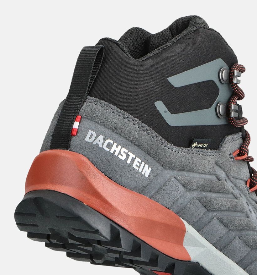 Dachstein SF-21 MC GTX Grijze Wandelschoenen voor heren (361809)