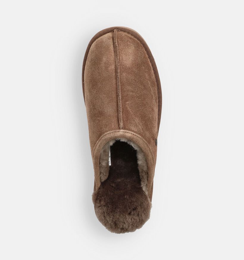 Warmbat Bulman Bruine Pantoffels Warmbat Bulman Bruine Pantoffels voor heren (363335)