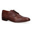 Ambiorix Jurassic Bruine Veterschoenen voor heren (316471)