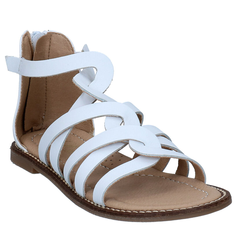 Little David Kaylee Cognac Sandalen voor meisjes (289891)