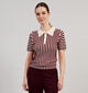 JDY Nola Beige/Bordeaux Gestreepte Polo T-shirt voor dames (359938)