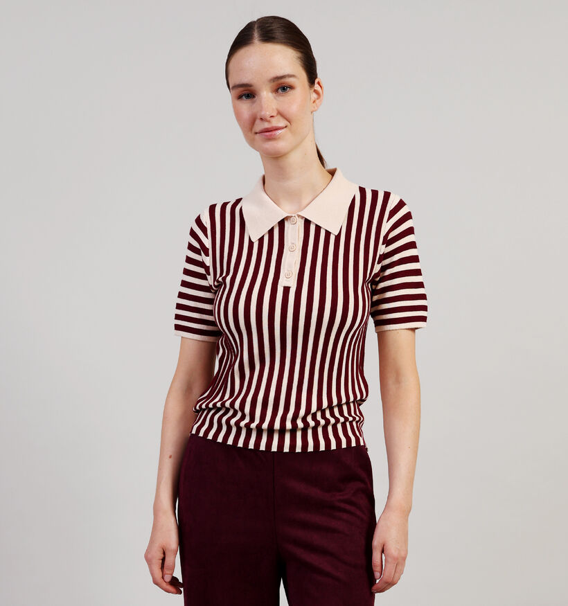 JDY Nola Beige/Zwarte Gestreepte Polo T-shirt voor dames (359935)