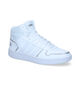 adidas Hoops Witte Sneakers voor dames (300158)