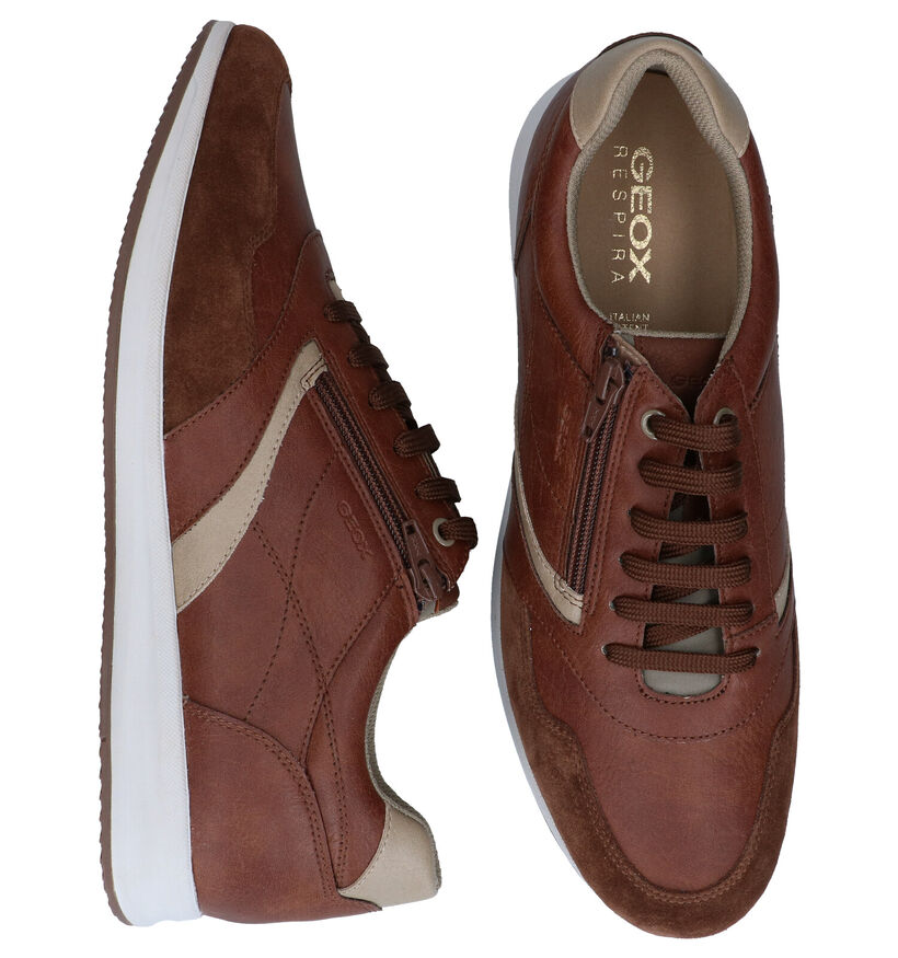 Geox Avery Chaussures à lacets en Cognac en cuir (285123)