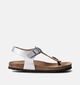 Little David Milano 2 Zilveren Sandalen voor meisjes (356094)