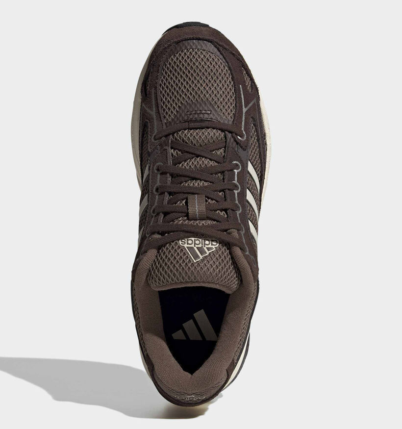 adidas Spiritain 2000 Baskets en Brun pour femmes (375348)