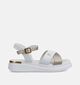 Tommy Hilfiger Sandales en Blanc pour filles (368690)