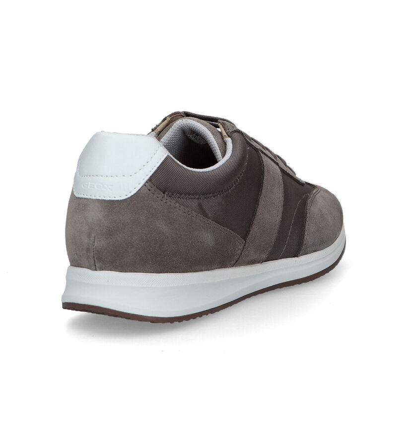 Geox Avery Grijze Veterschoenen voor heren (326761)