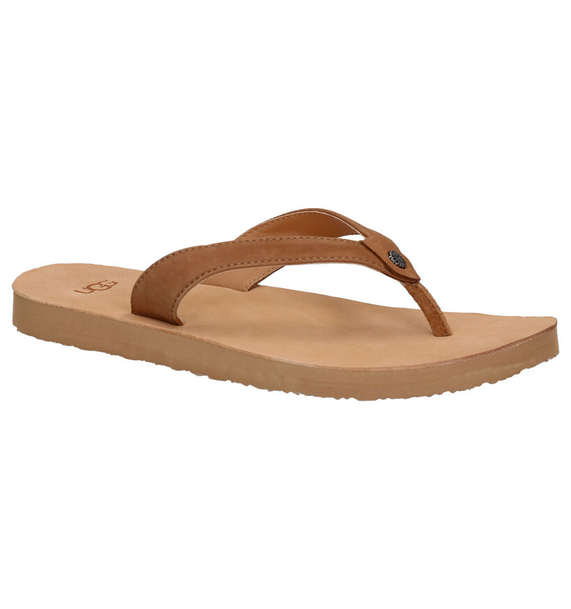 Ugg Tawney Cognac Teenslippers in leer (266673)