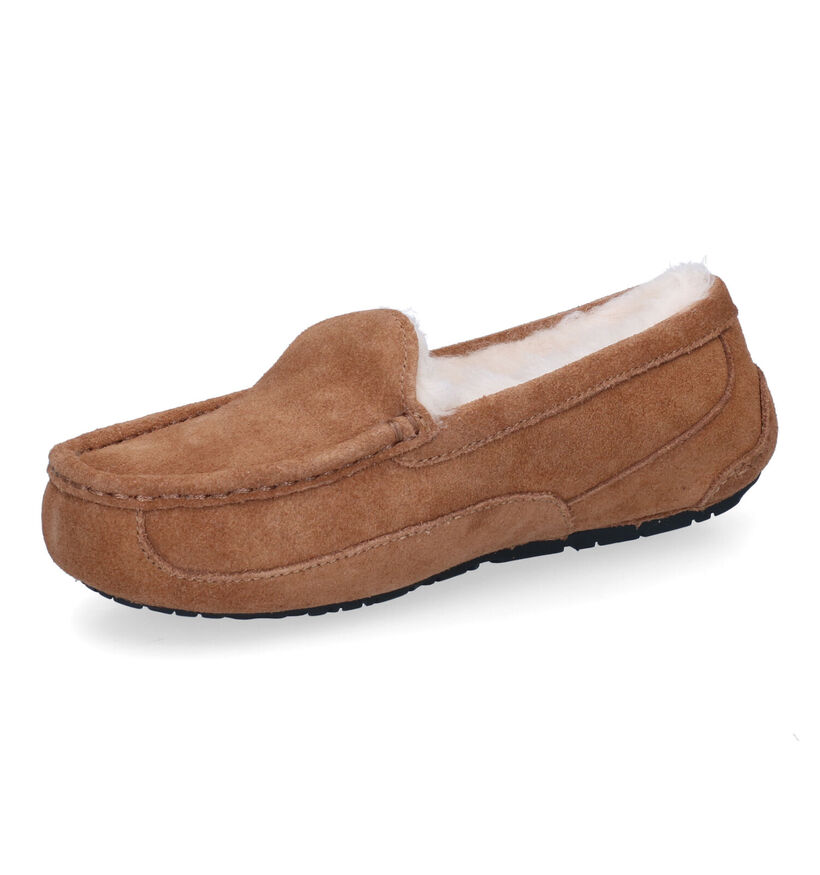 UGG Ascot Cognac Pantoffels in nubuck (294866)