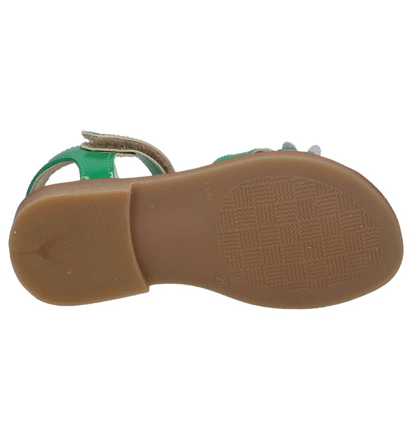 Lunella Sandales en Vert en cuir (215143)