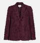 Vila Wagne Blazer en Bordeaux pour femmes (365591)