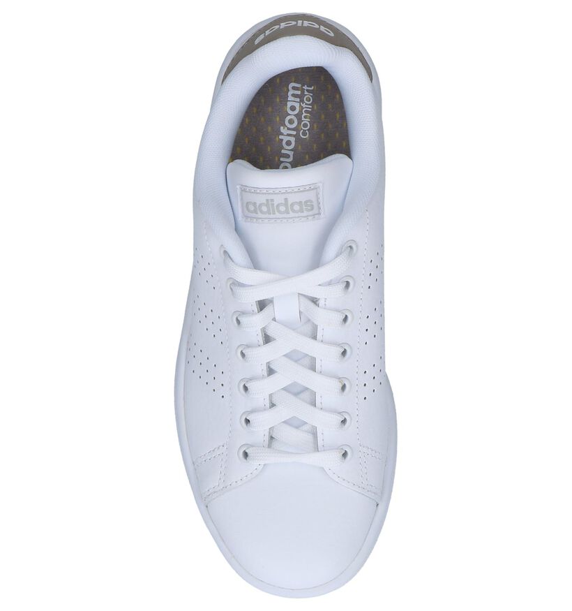 adidas Advantage CL Witte Sneakers in kunstleer (237075)