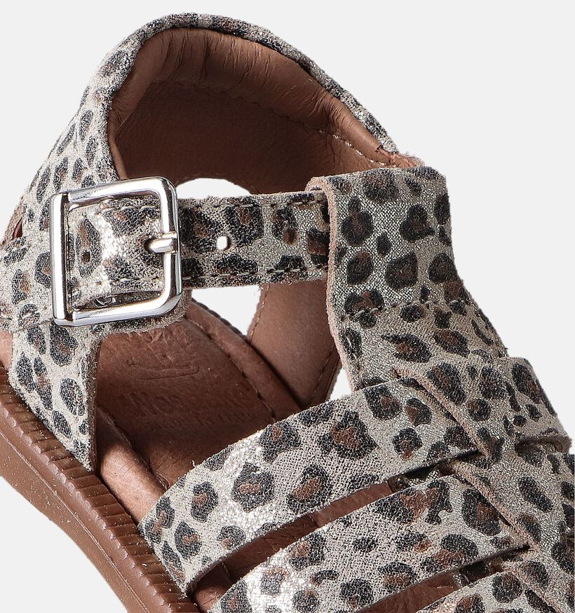 Westlake Baby Sandalen Bruin voor meisjes (356669)