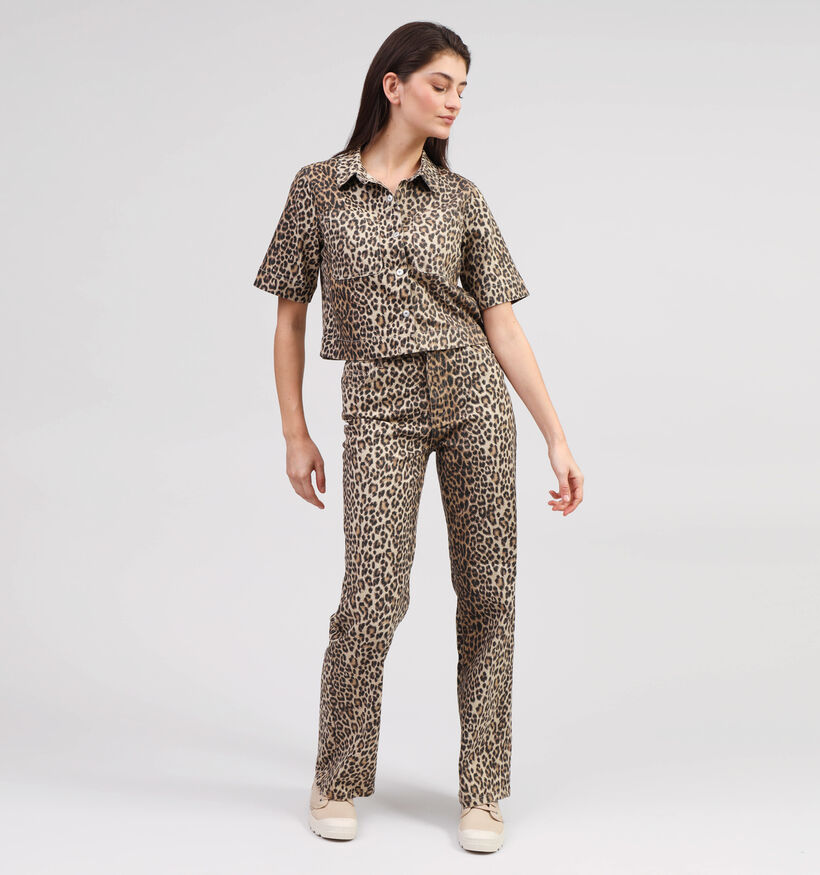 Leopard, , pdp