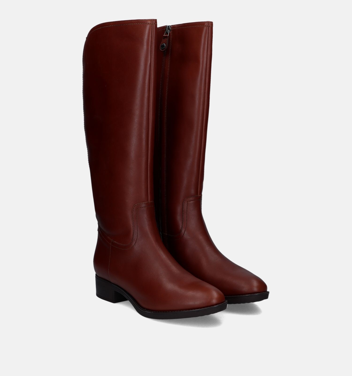 Geox best sale felicity marron