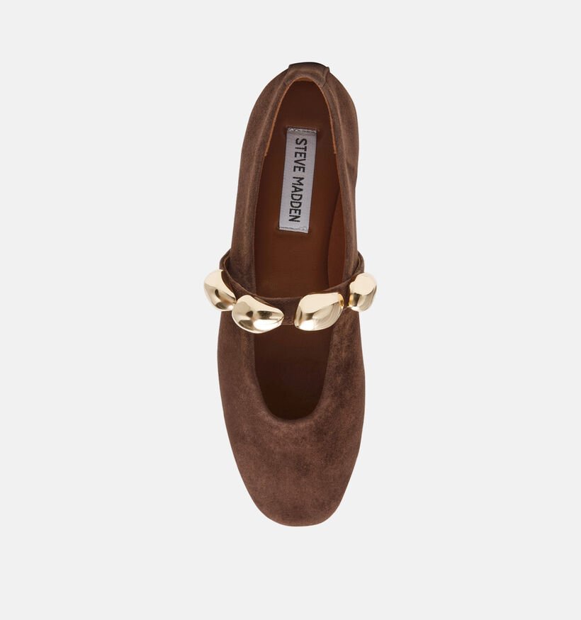 Steve Madden Poppin Donkerbruine Ballerina's voor dames (378152)