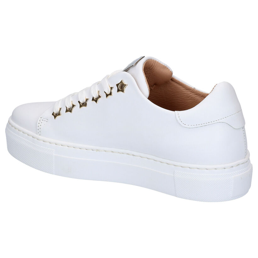 Scapa Baskets basses en Blanc en cuir (270355)