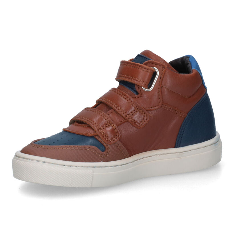 CKS Club Cognac Bottines in leer (316766)