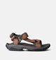 Teva Terra FI Lite Leather Sandales de marche en Cognac pour hommes (354634)
