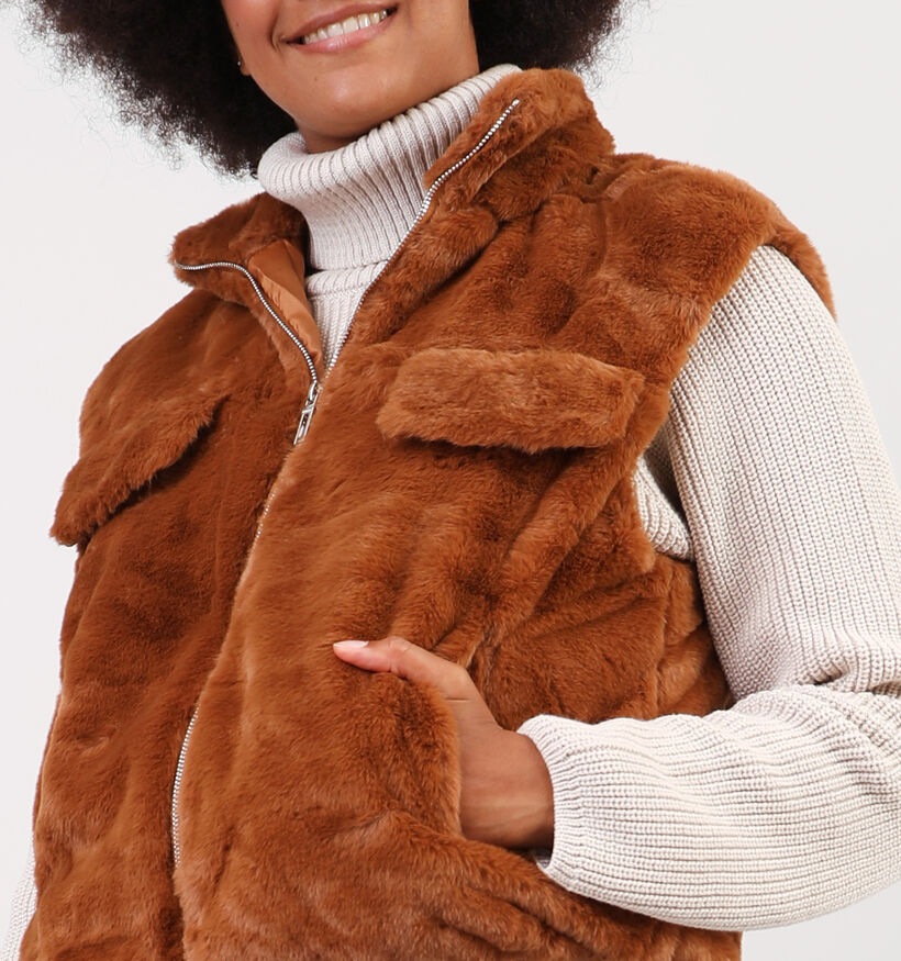 Dolce C. Veste duveteuse courte sans manches en Brun pour femmes (350612)