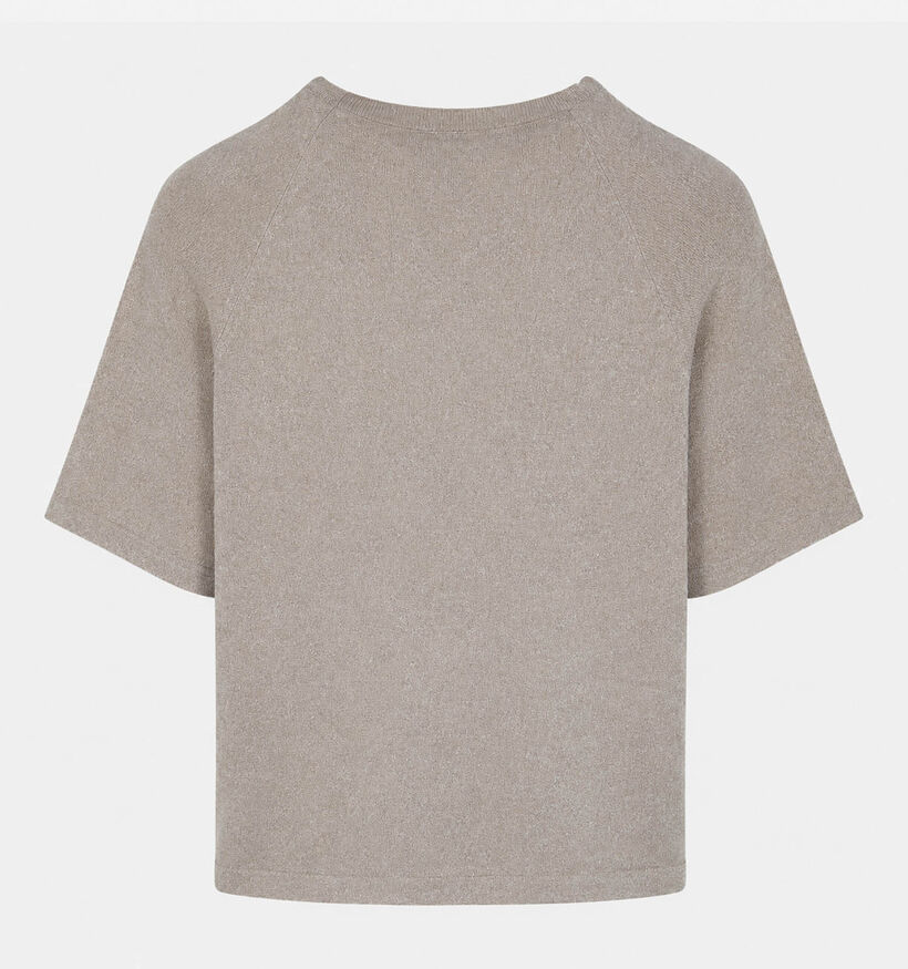 Pieces Bree Beige T-shirt voor dames (378372)