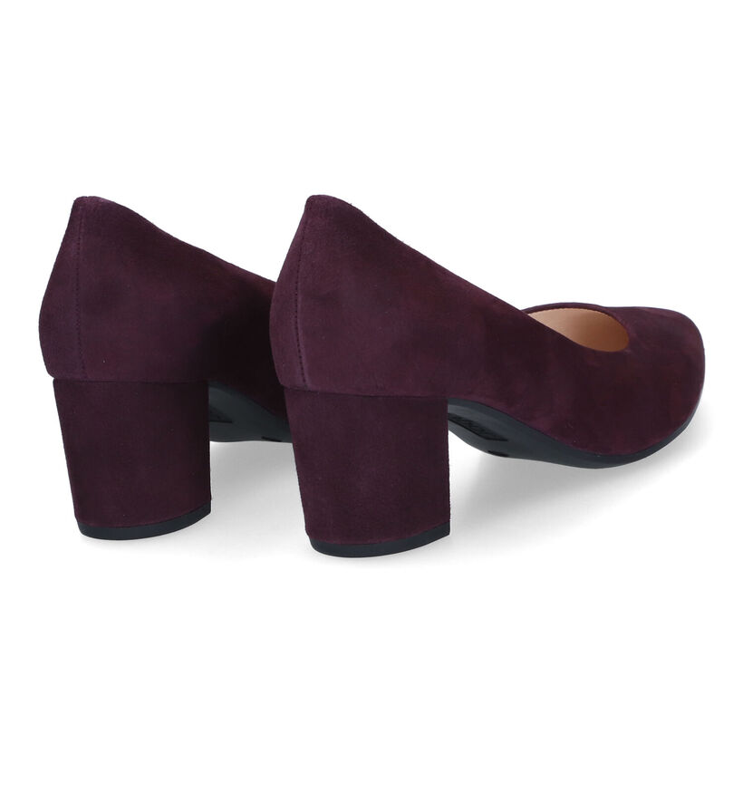 Gabor Escarpins classiques en Violet pour femmes (315302)