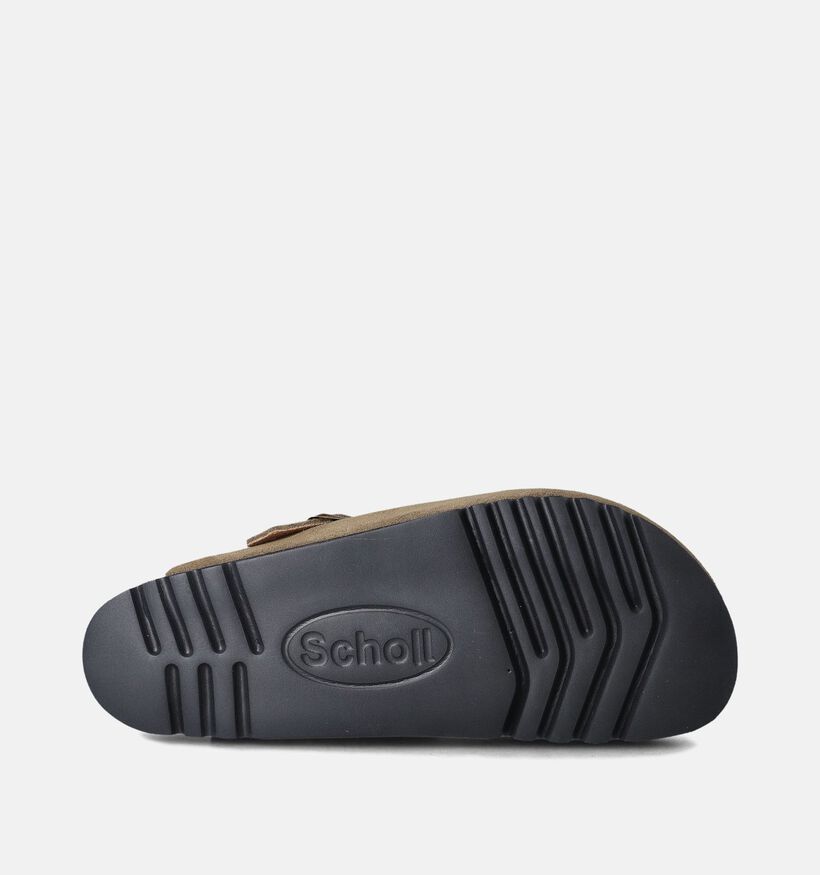 Scholl Olivier Slippers Kaki voor heren (357582)