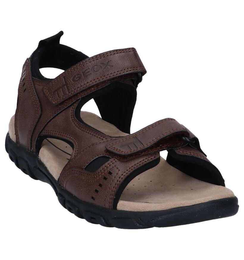 Geox Zwarte Sandalen in kunstleer (266688)