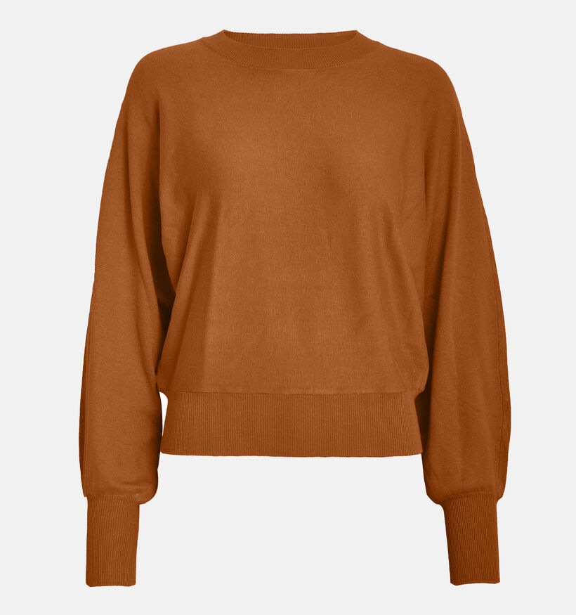 Minus Dana Bruine Trui voor dames (361727)