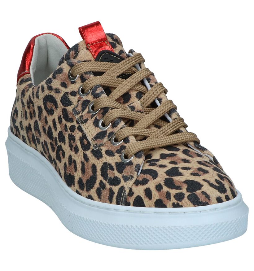 Veterschoenen met Luipaardprint Bullboxer in nubuck (248689)