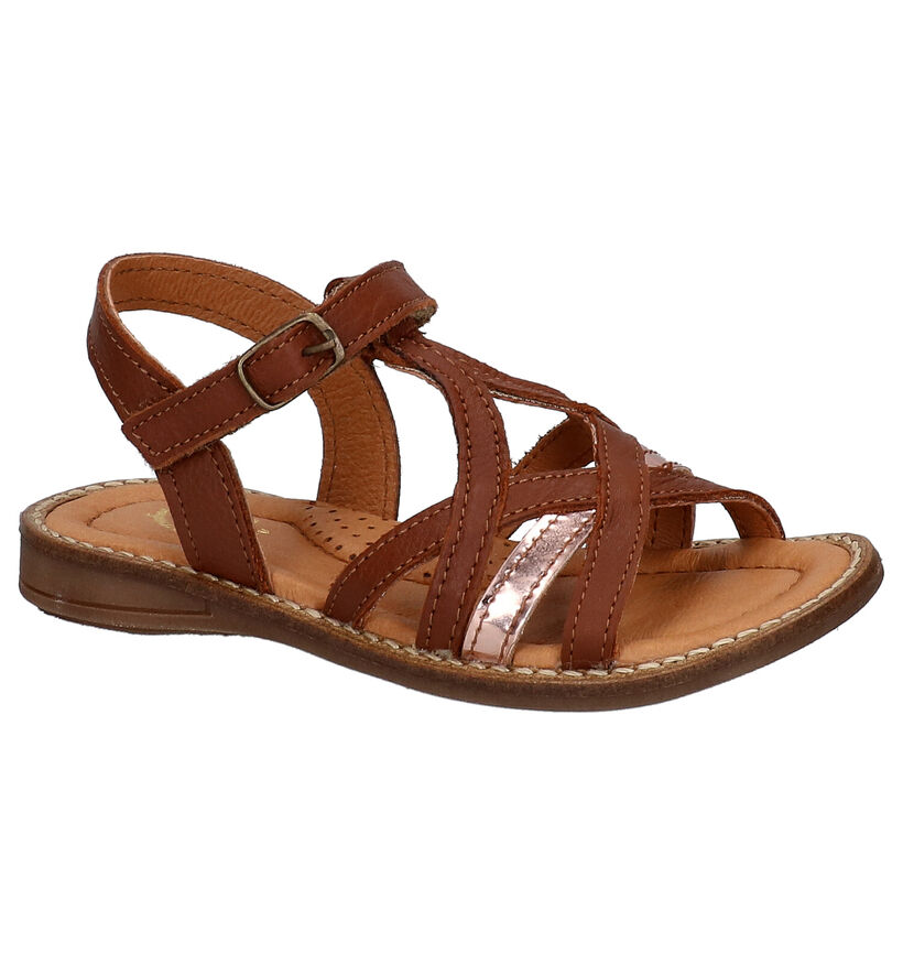 Little David Sandra Bruine Sandalen in leer (273171)