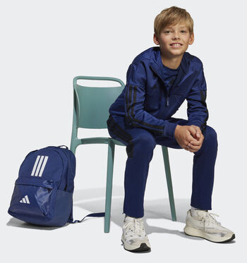 adidas Rugzakken Blauw/Groen