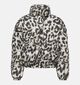 JDY Moon Life Zwarte/Witte Pufferjas voor dames (359934)