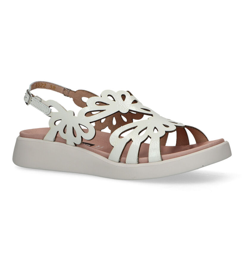 Wonders Sandales compensées en Blanc en cuir (324728)