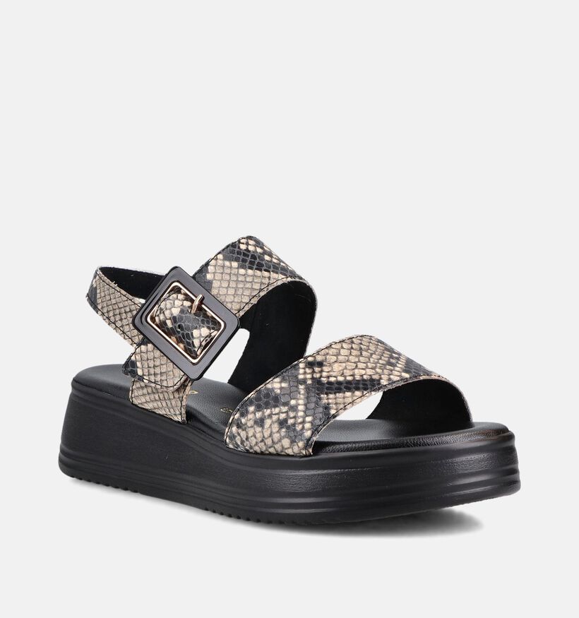 Gabor Python Sandales compens&eacute;es en Noir pour femmes (371173)