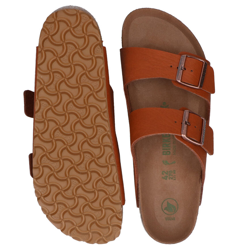 Birkenstock Arizona Zwarte Slippers voor heren (213368)