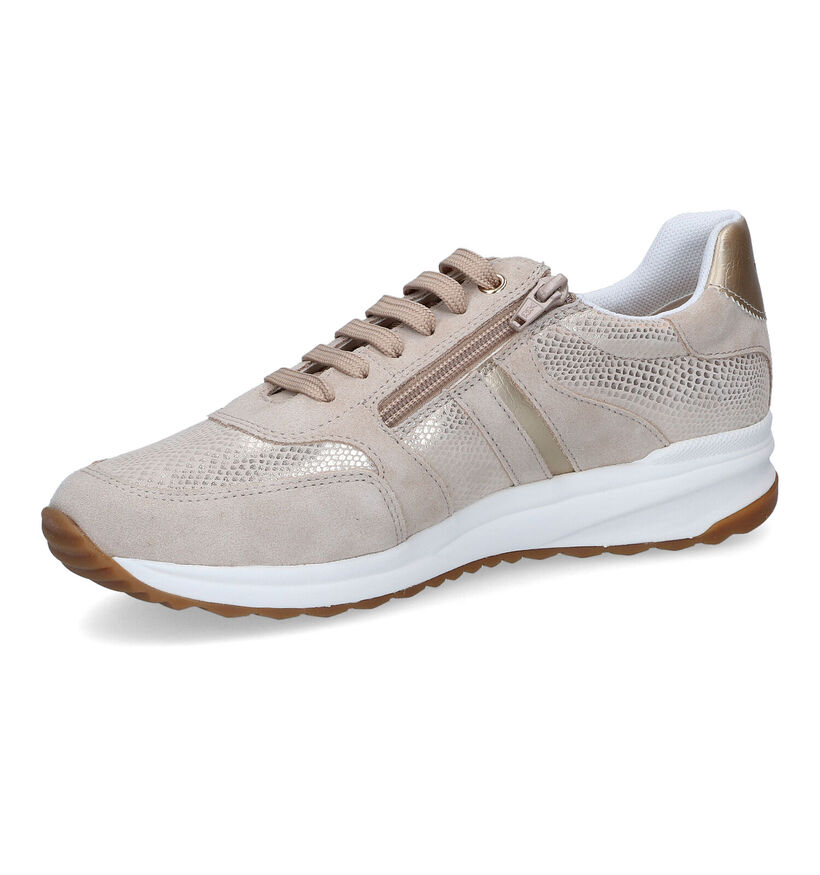 Geox Airell Beige Sneakers in daim (303646)