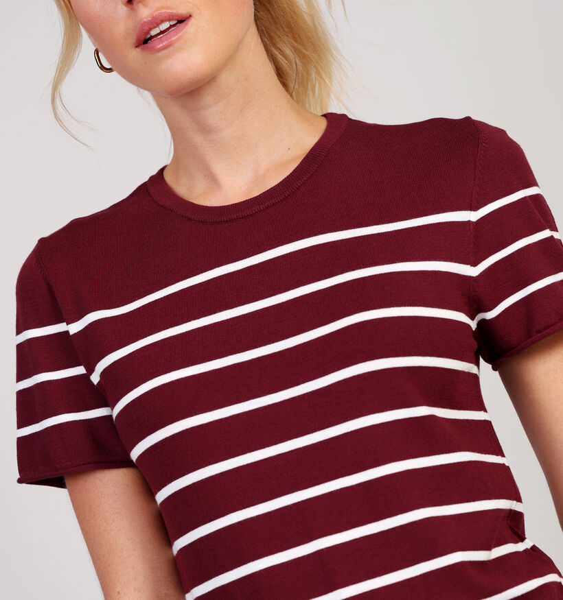 comma casual identity Pull en Bordeaux pour femmes (364469)