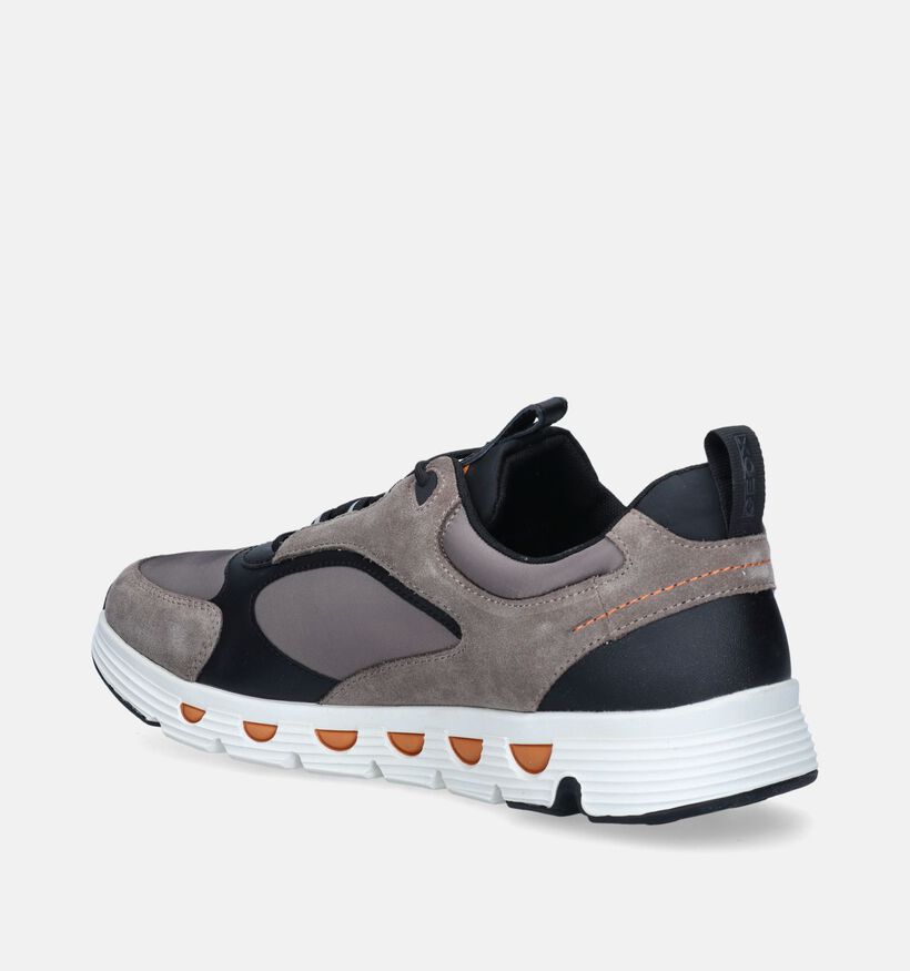 Geox Spherica Taupe Veterschoenen voor heren (344335) - geschikt voor steunzolen