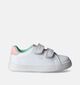 Tommy Hilfiger Baskets basses en Blanc pour filles (352610)