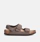 Birkenstock Milano Sandales en Taupe pour filles, garçons (352405)