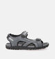 Geox Uomo Sandales de marche en Gris pour hommes (353854)