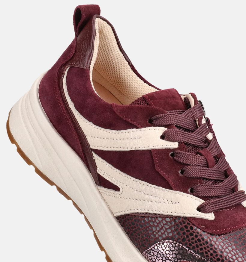 Gabor Comfort Bordeaux Sneakers voor dames (376979) - geschikt voor steunzolen