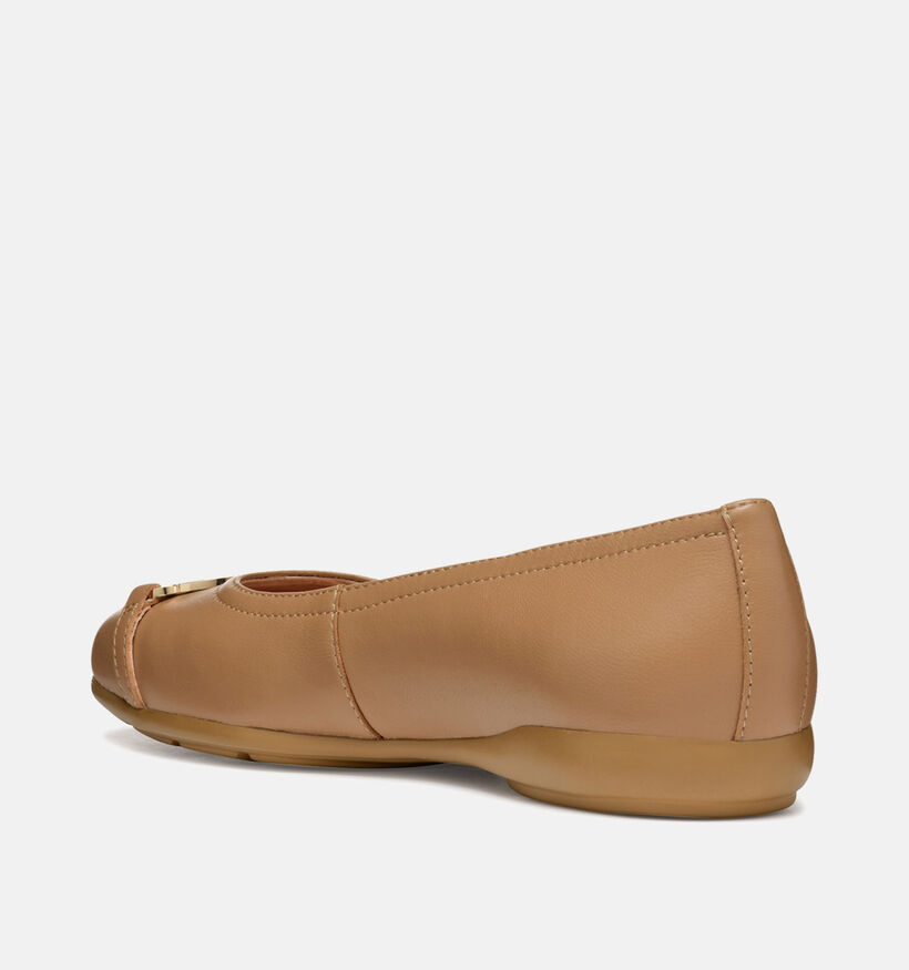 Geox Annytah Bruine Ballerina's voor dames (353760)