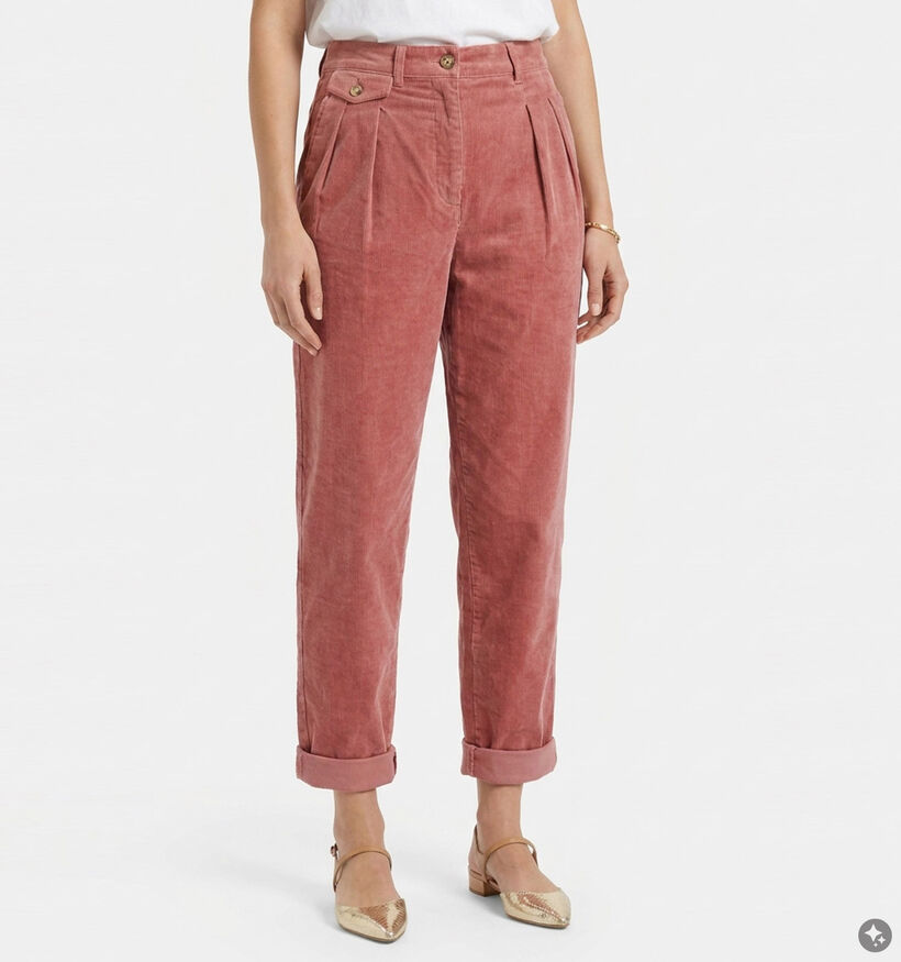 Orfeo Nora Roze Geklede Broek voor dames (381631)