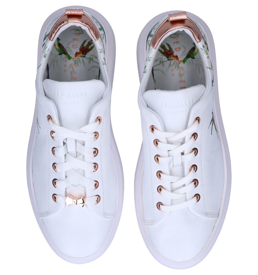 Witte Sneakers Ted Baker Ailbe 4 in leer (241709)